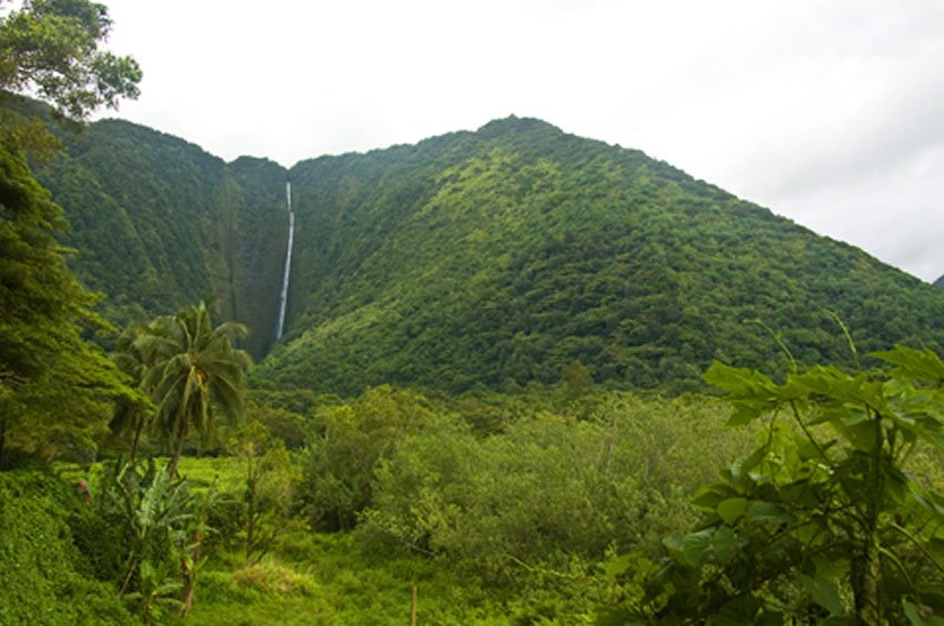 Big Island's tallest waterfall